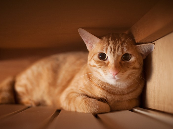 「僕の話は最後にちょこっとだった」（小林写函撮影）