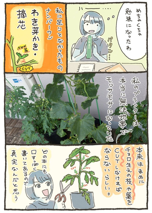 【漫画】『家庭菜園 初収穫の話』12（おべちさん提供）
