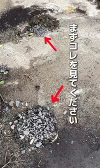 庭に一晩で出現した“石の山” ／かずみさん（@ig.kazumi）提供