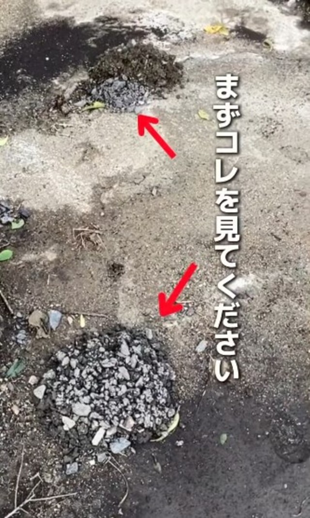 庭に一晩で出現した“石の山” ／かずみさん（@ig.kazumi）提供