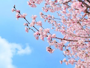 周りを気にかけおせっかいをやいてくれる、大阪の小学校の温かさ