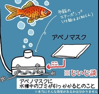 エアーポンプ内のゴミ除けフィルターに変化したマスク（みたんさん提供）