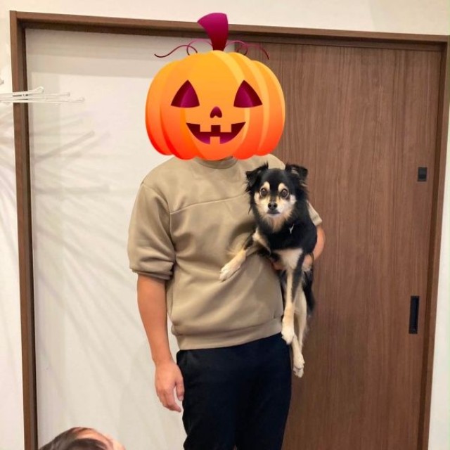 183センチのパパが抱っこすると小さく見えるチョコちゃん（画像提供：チョコさん）