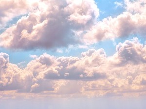 もうアトピーの陰に隠れない。ハーフアップは、その決意の表れ