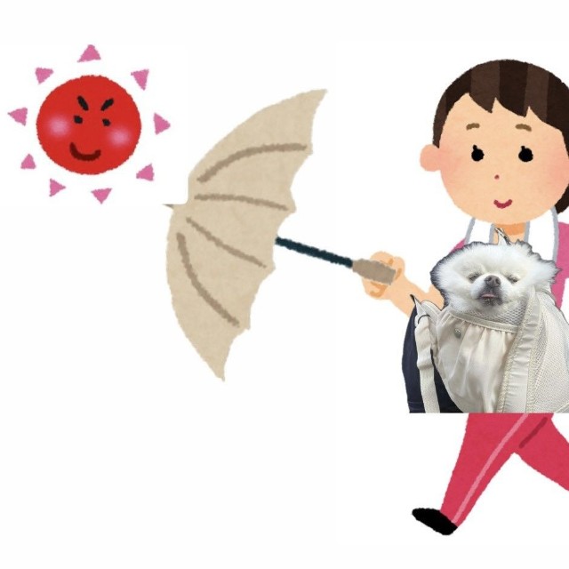 朝6時、犬のために日傘を差したら…（「いらすとや」の素材を使用し、「ポメラニアンの天くん！」さんが加工）