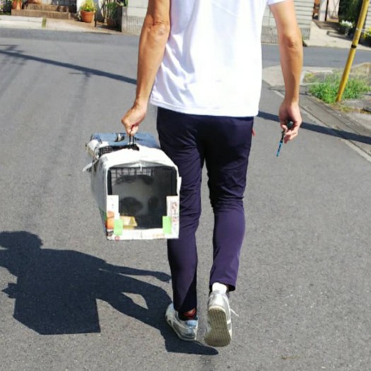 TNRを始めた由美さんを手伝い。夫も猫を動物病院へ運ぶ