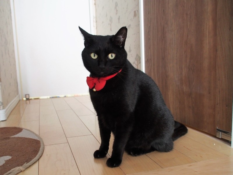 休日診療も夜間診療も引き受けている