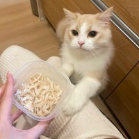 大好物のササミのおやつにテンションが上がるもなかくん（画像提供：を子さん）