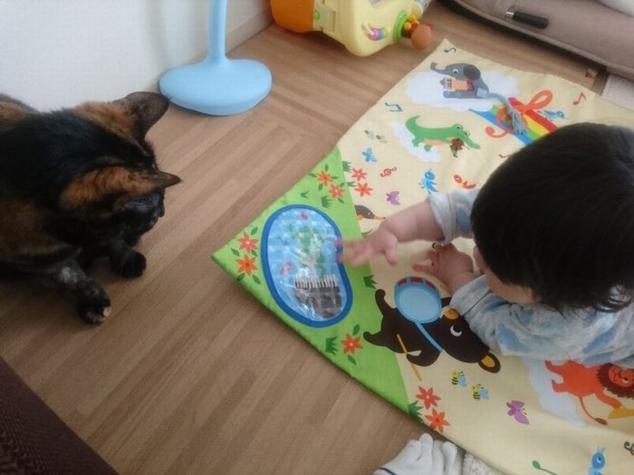 「一緒に遊ぶ？」