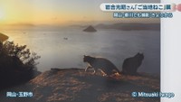 ©Mitsuaki Iwago