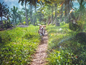 ぎこちない表情の彼と私と相棒の写真。一生の宝物ができたと確信した