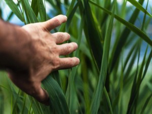 猪突猛進の不毛な恋に終止符を打ったのは、無理のいらない夫と出会い