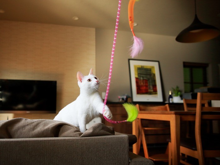 終始ノリノリな志乃ちゃんであった。