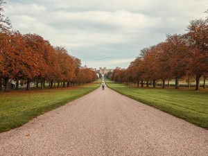 理想の人生を歩むために使われた「結婚」の口実に拭えなかった違和感