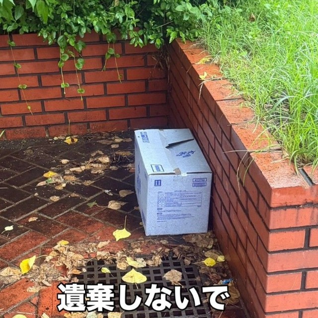 大雨が降る公園の片隅に置かれた、ふやけた段ボールを発見（「moto保護猫シェルター」さん提供、Instagramよりキャプチャ撮影）