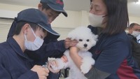 犬の爪切りに挑戦する高校生