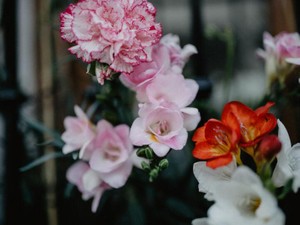 一番近くて、一番遠い存在だった。届かない想いを今も抱えている