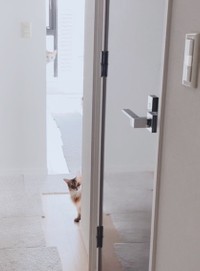 探偵・もうひとり