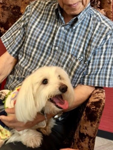 男性患者の膝に座るにじ色