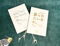 表と裏で日本語版と英語版になっている（画像提供：カトウカエさん）