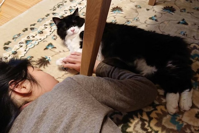 家族になって1年半。フィガロ君は娘さんたちとの距離が随分と近くなった