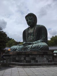 （kikuさん提供）