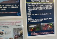 しっかり食べて大きく育ち「日本一」になりました！＝2023.10 日本平動物園
