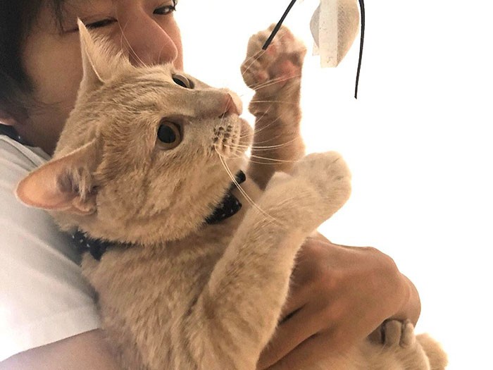 「パパ、大好き」