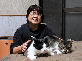 行き場のない猫が暮らすゲストハウス　保護猫３匹、宿泊客癒やす