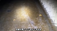 痕跡をもとに調査／がやまるさん提供