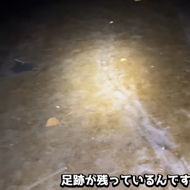 痕跡をもとに調査／がやまるさん提供