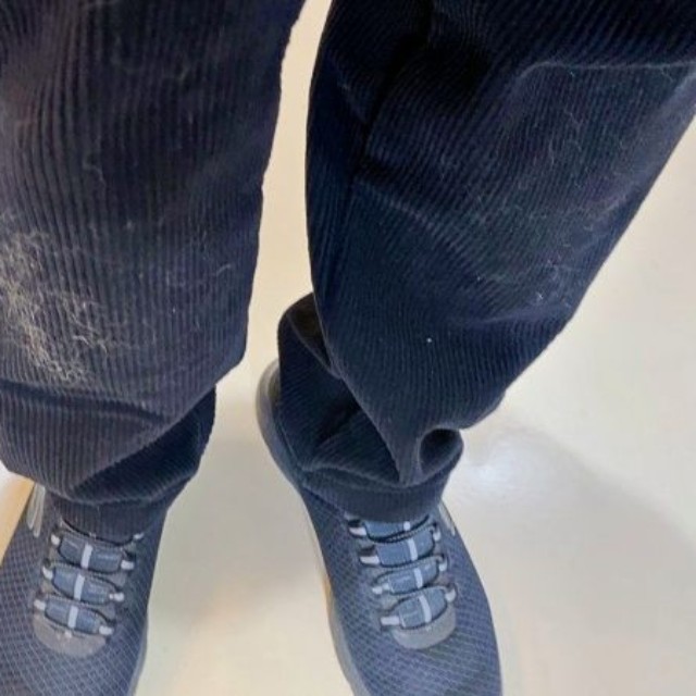 もち吉くんはかすっただけ！ それでもこの量の抜け毛がーー（画像提供：黒柴もち吉さん）