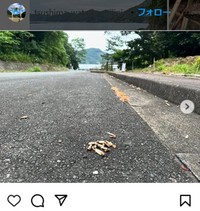 和多都美神社のインスタグラム＠tsushima_watadzumijinjaより