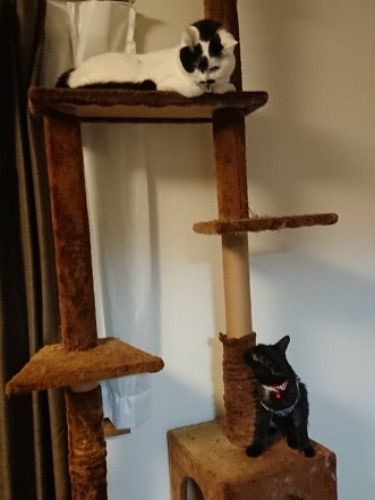 「私が上よ」「は、はい」（信吾さん提供）