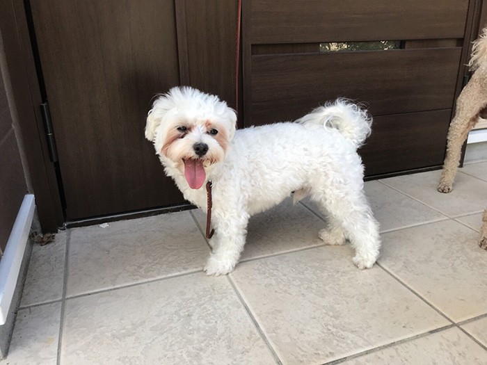 女の子のような優しい笑顔