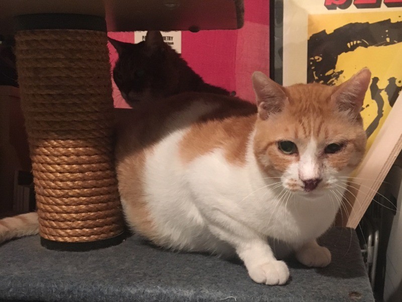 オサムさんです。うしろにいるのはつーさんです（おぷうのきょうだい提供）