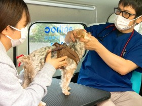 犬や猫の通院いらず！　獣医師が自宅にやって来る「往診専門の動物病院」とは