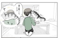 どうやら、キュルガちゃんは、フータくんの肩に乗りたいみたい（提供：キュルZさん）