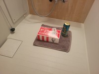 人間を隔離していただきます（しぴこめさん提供）