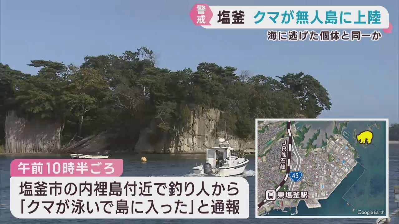 【速報】クマが海を泳ぎ無人島に上陸　漁船に居座った個体か　宮城・塩釜市