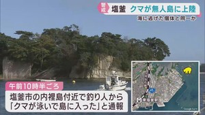 クマが海を泳ぎ無人島に上陸　漁船に居座った個体か　宮城・塩釜市