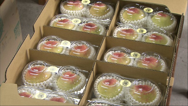 岡山産の露地ものの桃「はなよめ」初出荷　極早生でさっぱりとした味