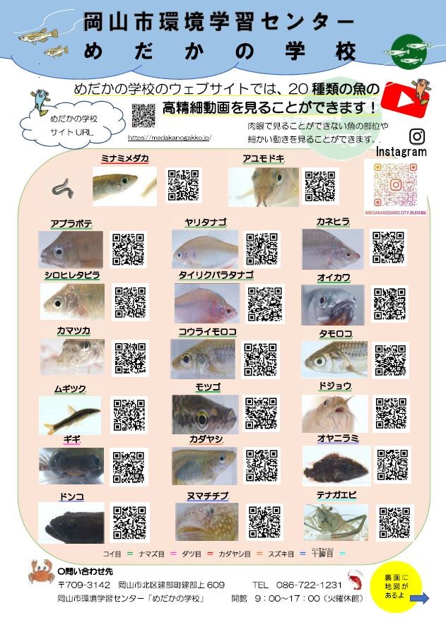 岡山市 提供