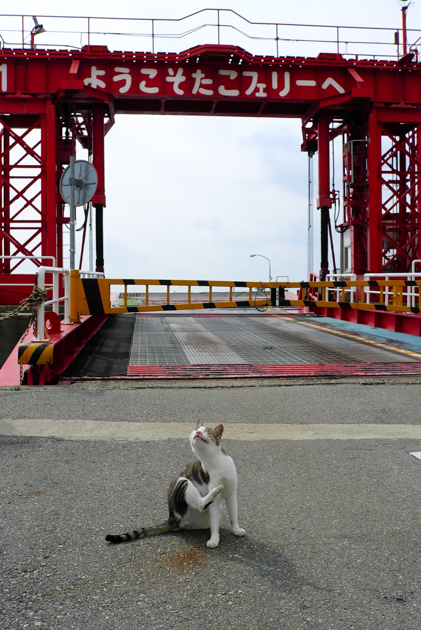 海を渡る「国道」を知っていますか 「宇高国道フェリー」「たこ