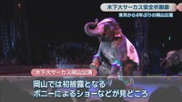 木下大サーカス　前回の岡山公演　2022年