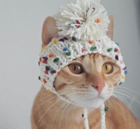 可愛い毛糸の帽子が似合っている