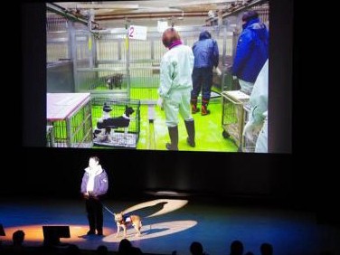 「希望」を体現、夢之丞　殺処分ゼロを目指す活動のシンボル