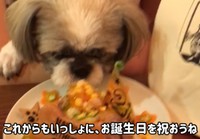 毎年ケーキで誕生日をお祝いするそう©AUN／投稿主さん提供