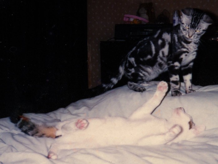  セナと一緒にゆったり、スローなふたり