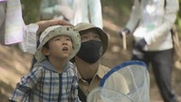 子どもたちが昆虫採集に挑戦